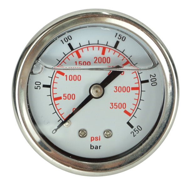 Manometer mit Anschluss hinten 52 mm - 250 bar
