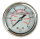 Manometer mit Anschluss hinten 52 mm - 250 bar